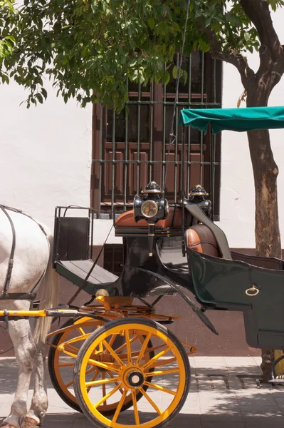 Detail of a carriage in Sevilla — Stock Photo, Image