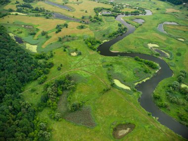 Nehrin üzerindeki yeşil ormandaki hava manzarası. İHA fotoğrafı