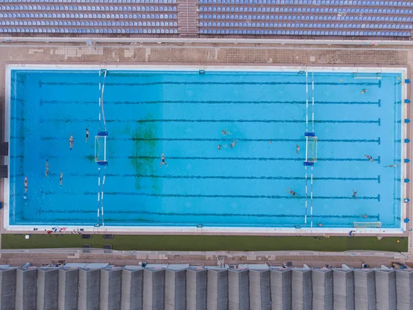 Luftaufnahme Einer Gruppe Von Schwimmern Die Schwimmbad Trainieren Viele Sportler — Stockfoto