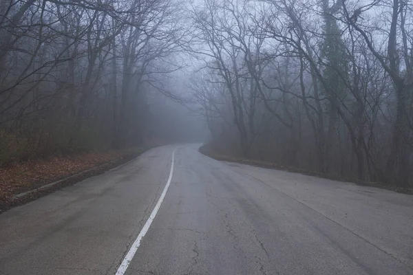 Samotna Mgła Droga Przecinająca Gęsty Cichy Las — Zdjęcie stockowe