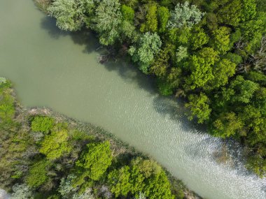 Nehrin üzerindeki yeşil ormandaki hava manzarası..