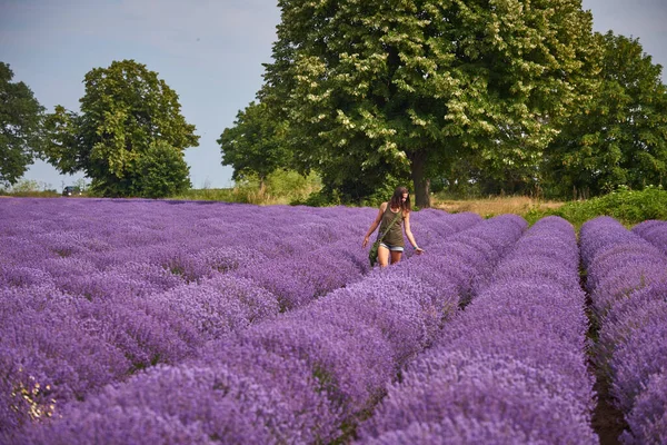 Jovem Mulher Roupas Casuais Caminha Através Campo Lavanda Florescente Cores — Fotografia de Stock