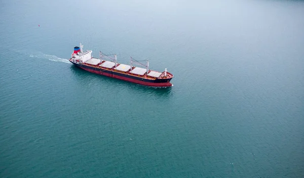Large Bulk Carrier Transports Grain Sea Top View — Stockfoto