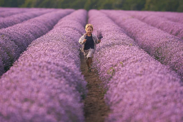Boy Big Lavender Summer Field Sunset — Stock Photo, Image