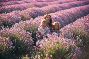 Gün batımında lavanta tarlasında iki tatlı çocukla genç bir kadın.