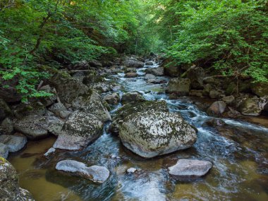 Aerial top view of a stream in the forest in Rhodope Mountains near the town of Devin.