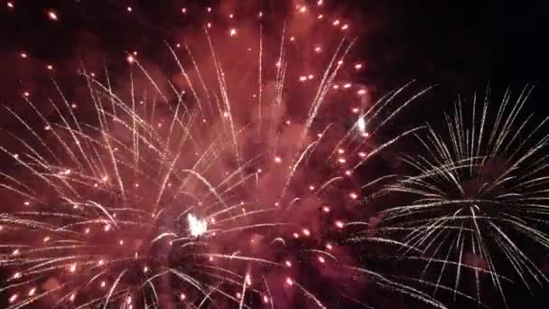 Fireworks Night City Aerial View — Vídeos de Stock
