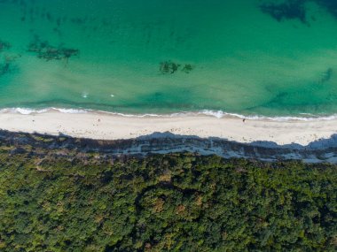 Aerial top view of a beautiful beach with a forest on the shore and rocks. Coast of the Black Sea in Bulgaria.