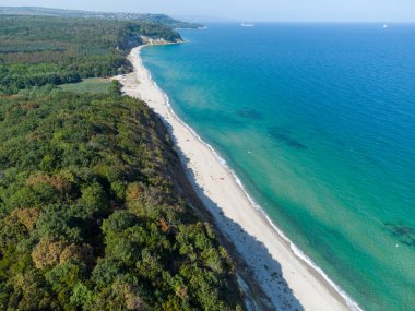 Aerial top view of a beautiful beach with a forest on the shore and rocks. Coast of the Black Sea in Bulgaria.