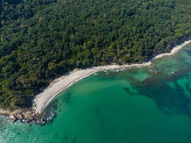 Aerial top view of a beautiful beach with a forest on the shore and rocks. Coast of the Black Sea in Bulgaria.