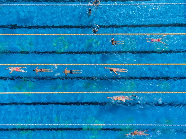 Aerial top down View of Swimmers in a open swimming pool