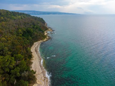 Bulgaristan 'daki ormanlı güzel kumsalın üzerinde uçuyor.