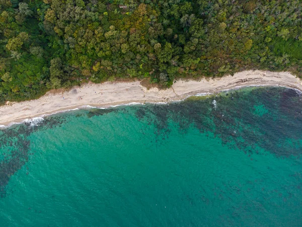 Voando Acima Bela Praia Selvagem Com Floresta Bulgária — Fotografia de Stock