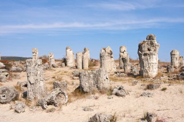 Pobiti Kamani, Bulgaristan 'ın Varna kenti yakınlarındaki Taş Ormanı Doğal Rezervi, yaz günü.