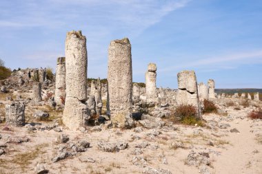 Pobiti Kamani, Bulgaristan 'ın Varna kenti yakınlarındaki Taş Ormanı Doğal Rezervi, yaz günü.