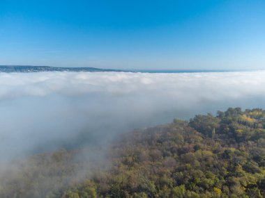 Deniz ve orman üzerindeki sis kıyı havası manzarası