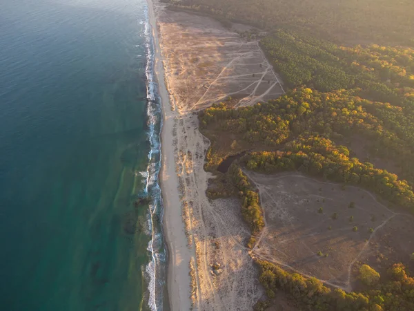 Wild Strand Met Zand Bos Bulgarije Bovenaanzicht Vanuit Lucht — Stockfoto