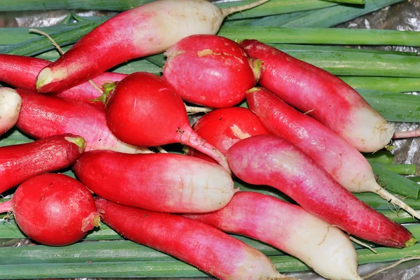 Fresh radishes and green onions — Stock Photo, Image