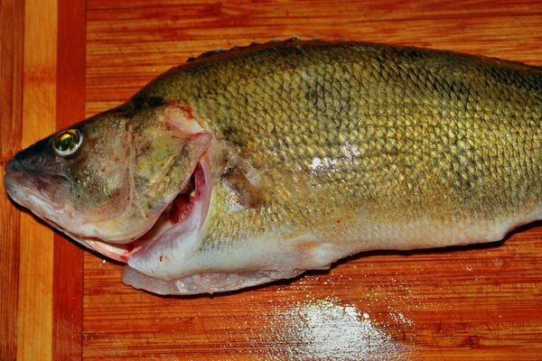 Pesce fresco su un tagliere — Foto Stock