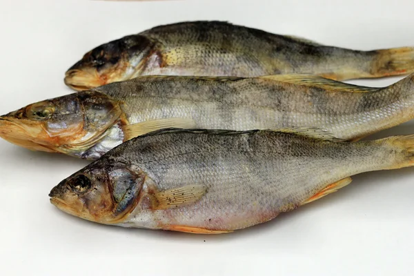 Pesce persico e luccio essiccati — Foto Stock