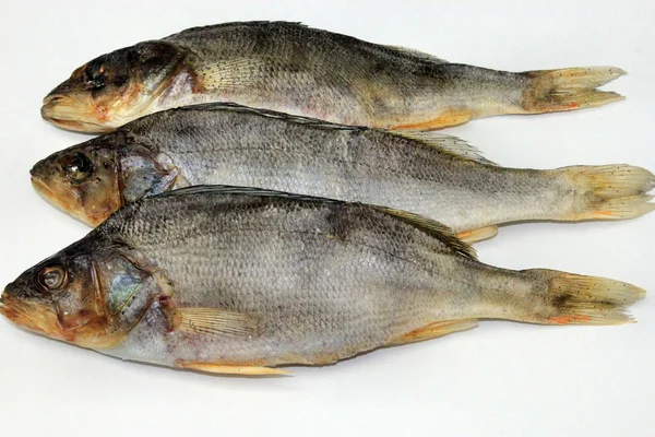 Dried fish perch — Stock Photo, Image