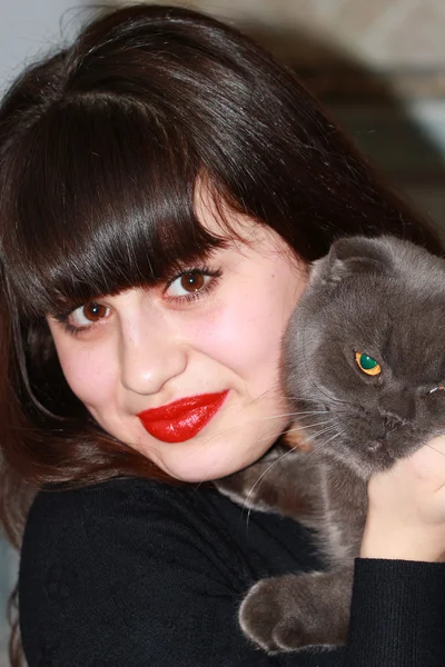 Porträt eines jungen Mädchens mit einer britischen Katze in den Händen — Stockfoto