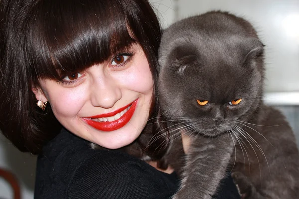 Happy girl holds a British cat — Stock Photo, Image