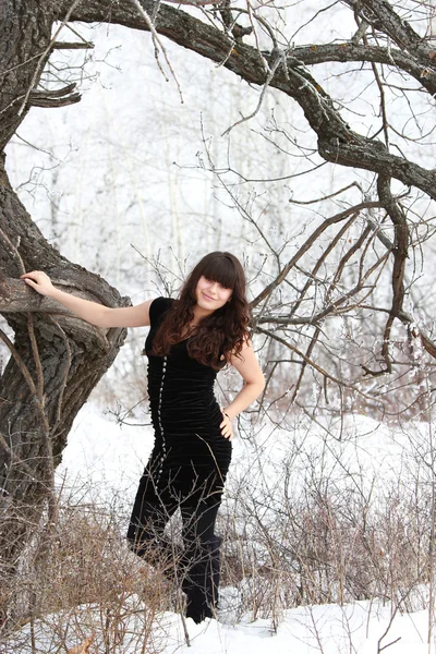 Schönes junges Mädchen im Winterwald — Stockfoto