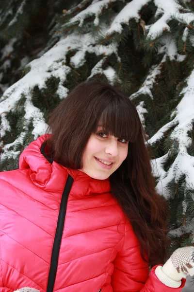 Beautiful girl in winter near the fir — Stock Photo, Image