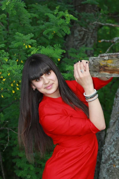A menina no vestido vermelho perto de uma árvore — Fotografia de Stock