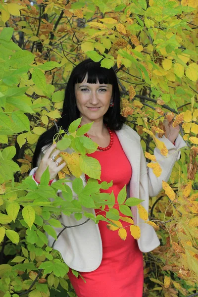 Smiling girl in autumn forest — Stock Photo, Image