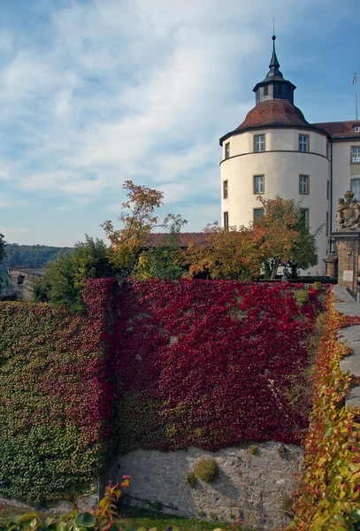 Burg. Deutschland. — Stockfoto