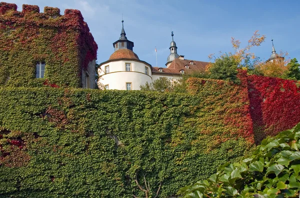 Burg. Deutschland. — Stockfoto
