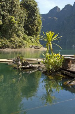 Khao sok dağ ve göl Tayland
