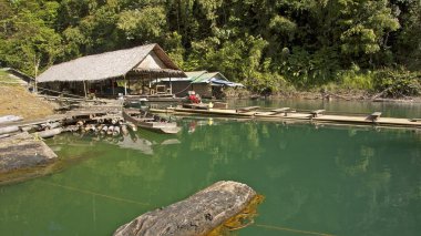 Khao sok dağ ve göl Tayland