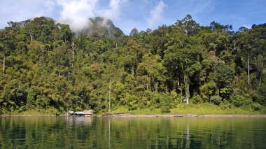 Khao sok dağ ve göl Tayland