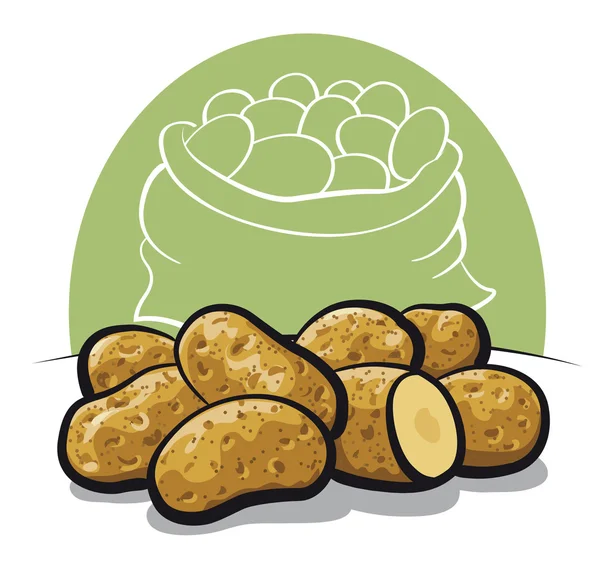 Patata cruda — Vector de stock