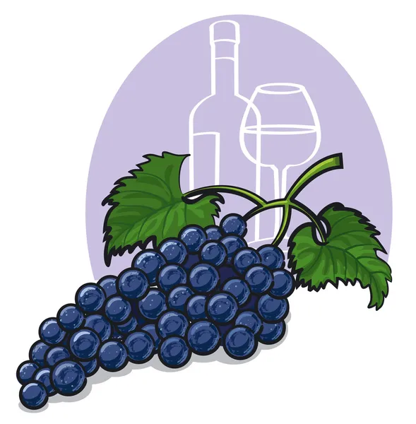 Ripe dark grapes — Stock Vector