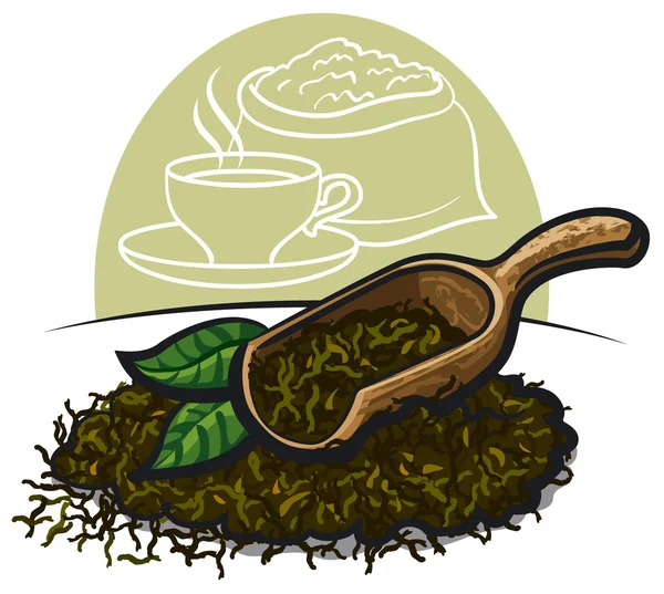 Hojas de té verde seco — Vector de stock