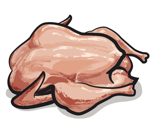 Pollo crudo — Vector de stock