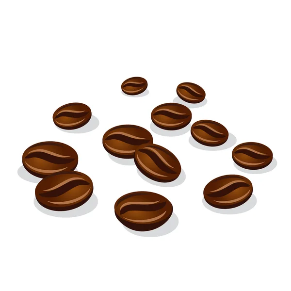 Coffee beans — Stock Vector