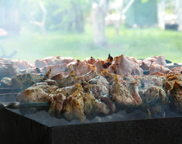 Kebab a la parrilla — Foto de Stock