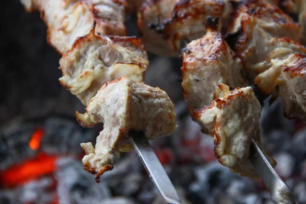 Kebab grillé — Photo