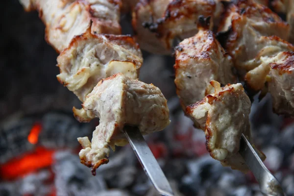 Grilled kebab Stock Image