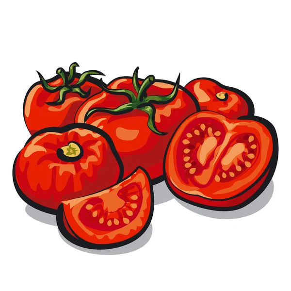 Tomates — Image vectorielle