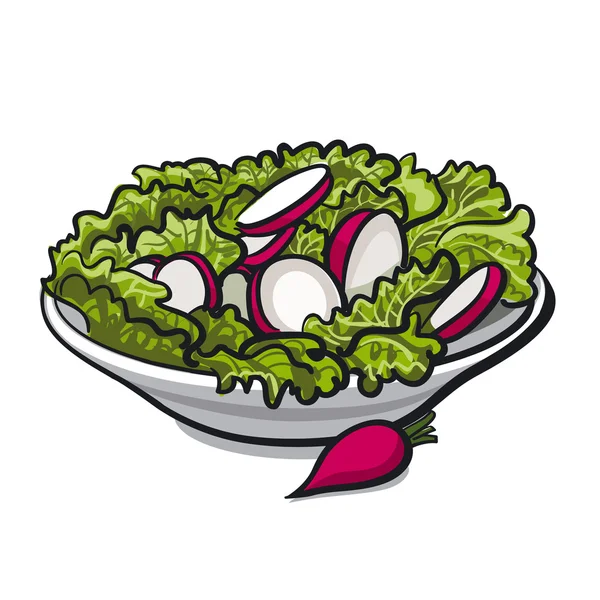 Редька салат — стоковий вектор