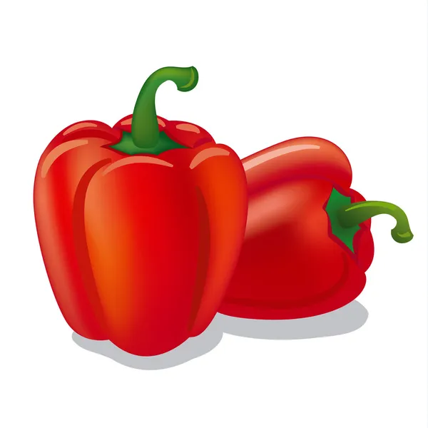 Paprika — Stockvector