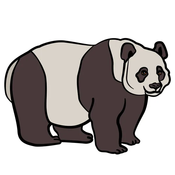 熊猫熊的图解 — 图库矢量图片