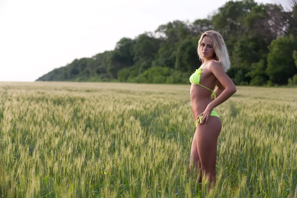 Girl in bikini and wheat field — Stock Photo, Image