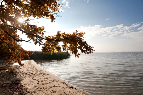 Orilla del lago de otoño — Foto de Stock